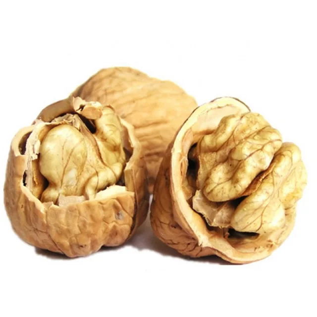 Dry fruit fresh 33 walnuts price Wholesale Dried Nuts Wallnut Kernels walnut without shell