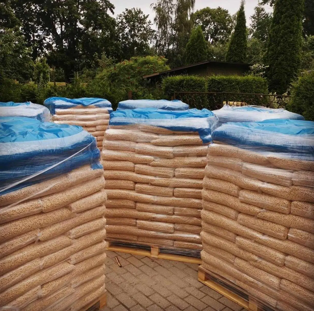 European Standard Wood Pellets