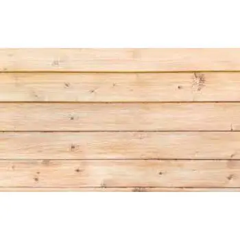 download (9).jfif.jpg