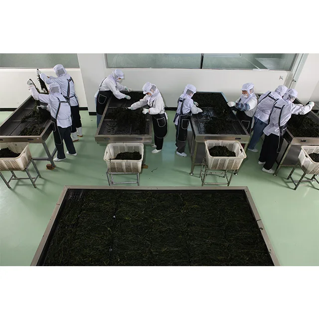 Innovation seaweed picked early in the morning Special taste created by nature Grown in deep waters Gijang seaweed product Chewy