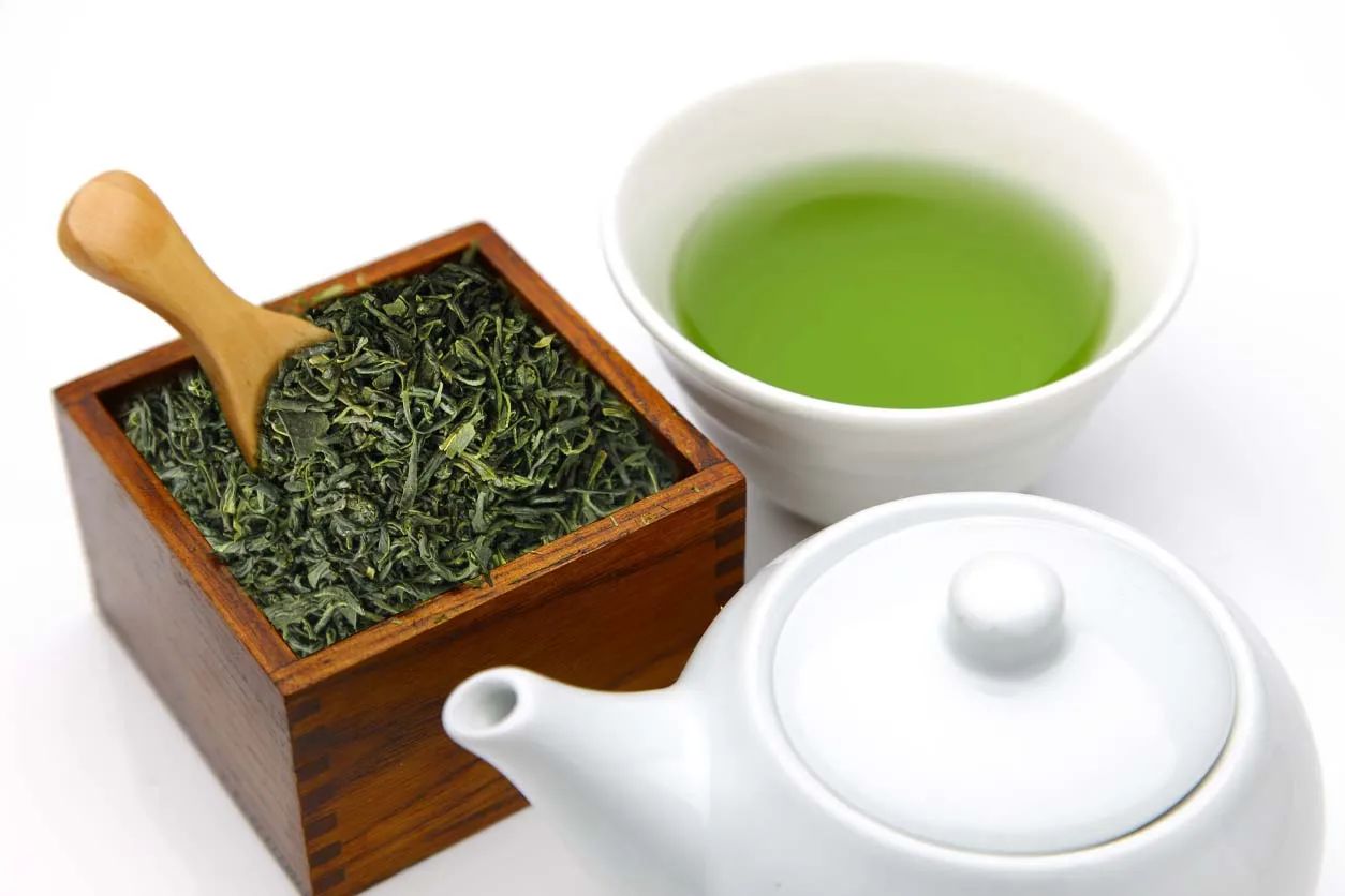 Best Selling & Reliable Loose Leaf Green Tea, Sejak / 1st Flush Organic Green Tea from Jeju Island, South Korea