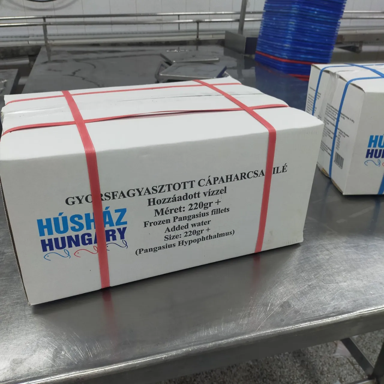 IQF BLOCK FROZEN Bulk Bag Pangasius Hypophthalmus Pangasius Fillet frozen pangasius fillet