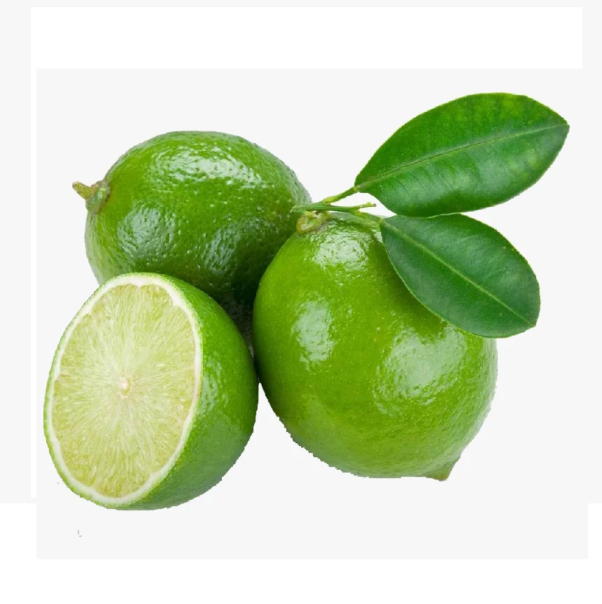 Fresh Citrus Fruit Seedless Lime from Vietnam Cheap Price FRESH SEEDLESS Wholesale GREEN LEMON Raw Origin