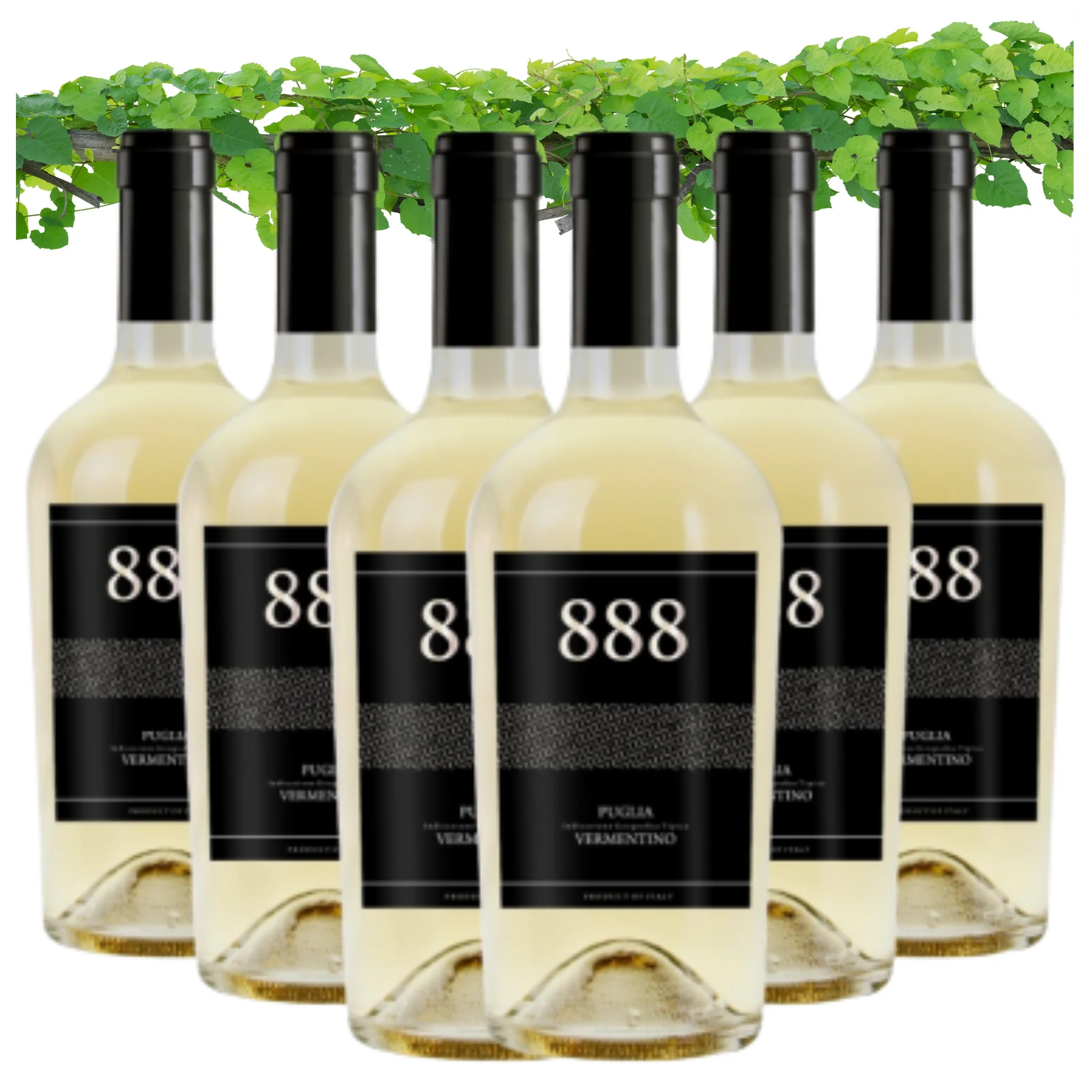Dropship White Wine Italy - Vermentino Puglia IGT 888 - White Wine bottles 750 ml - Alcohol wine 12.5% for export