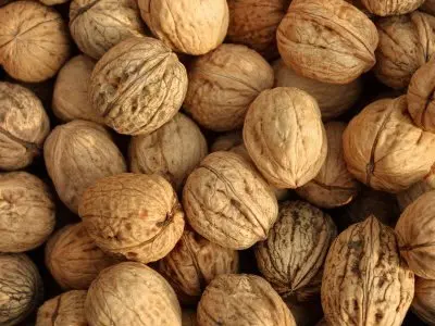 Thin Shell Fresh Delicious Nutrition Chinese Walnut Kernel Max Bag Bulk Style Storage Cool Packing Packaging