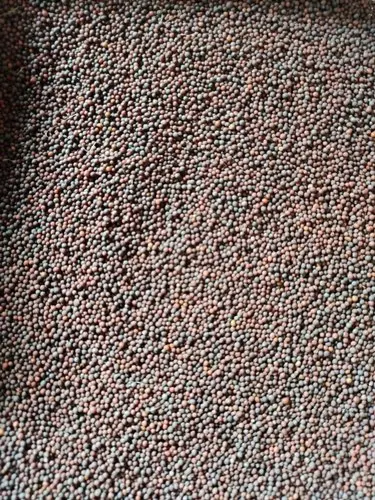 product-jpeg-500x500 (1).jpg