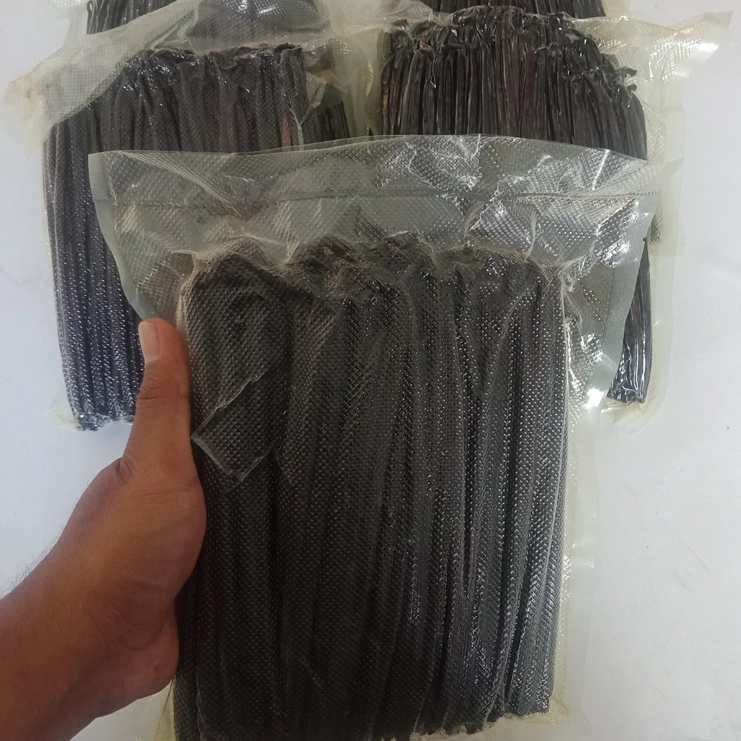 Top Selling Vanilla Plani Premium Quality Indonesia