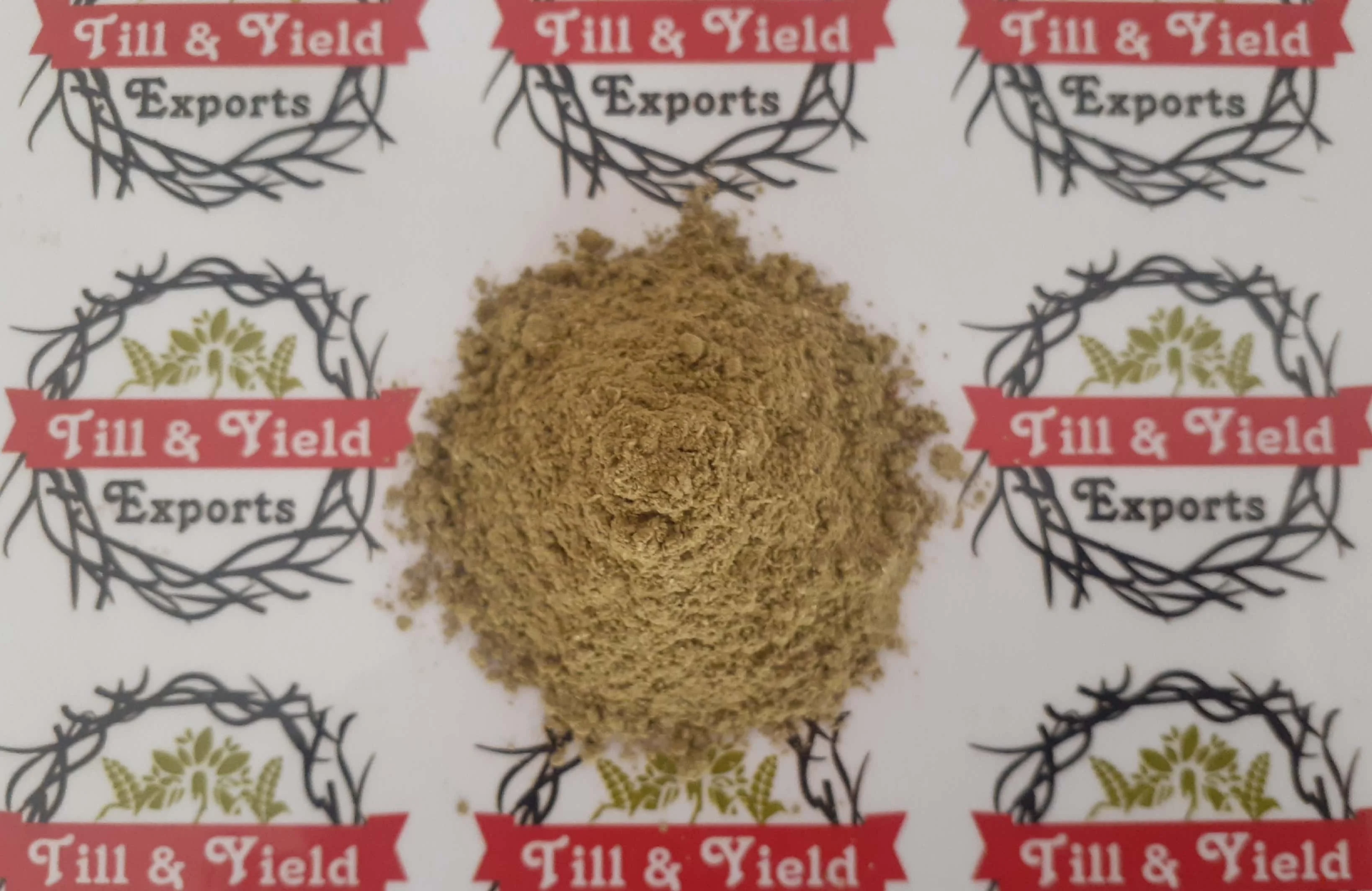 Mentha Arvensis - Mint - Mentha -Pudina Powder Many Stomach Disorders Inflammation And Treatment Of Fever Headache Cold