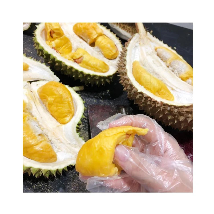 Malaysian Durian Manufacturers Fresh and Frozen Whole Durian Fruit For Sale Export to All Country Bulk Sale