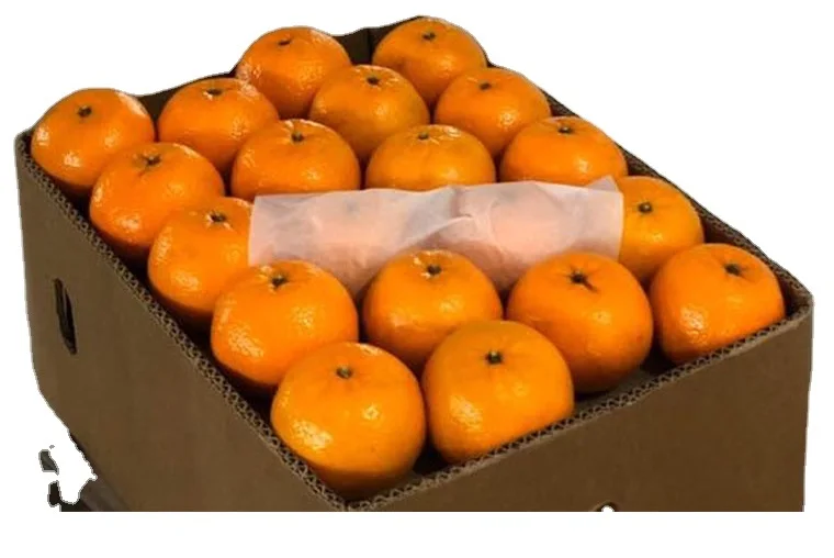 Cheapest Factory price Pakistan made Best Fresh Premium Mandarin Orange For Sale