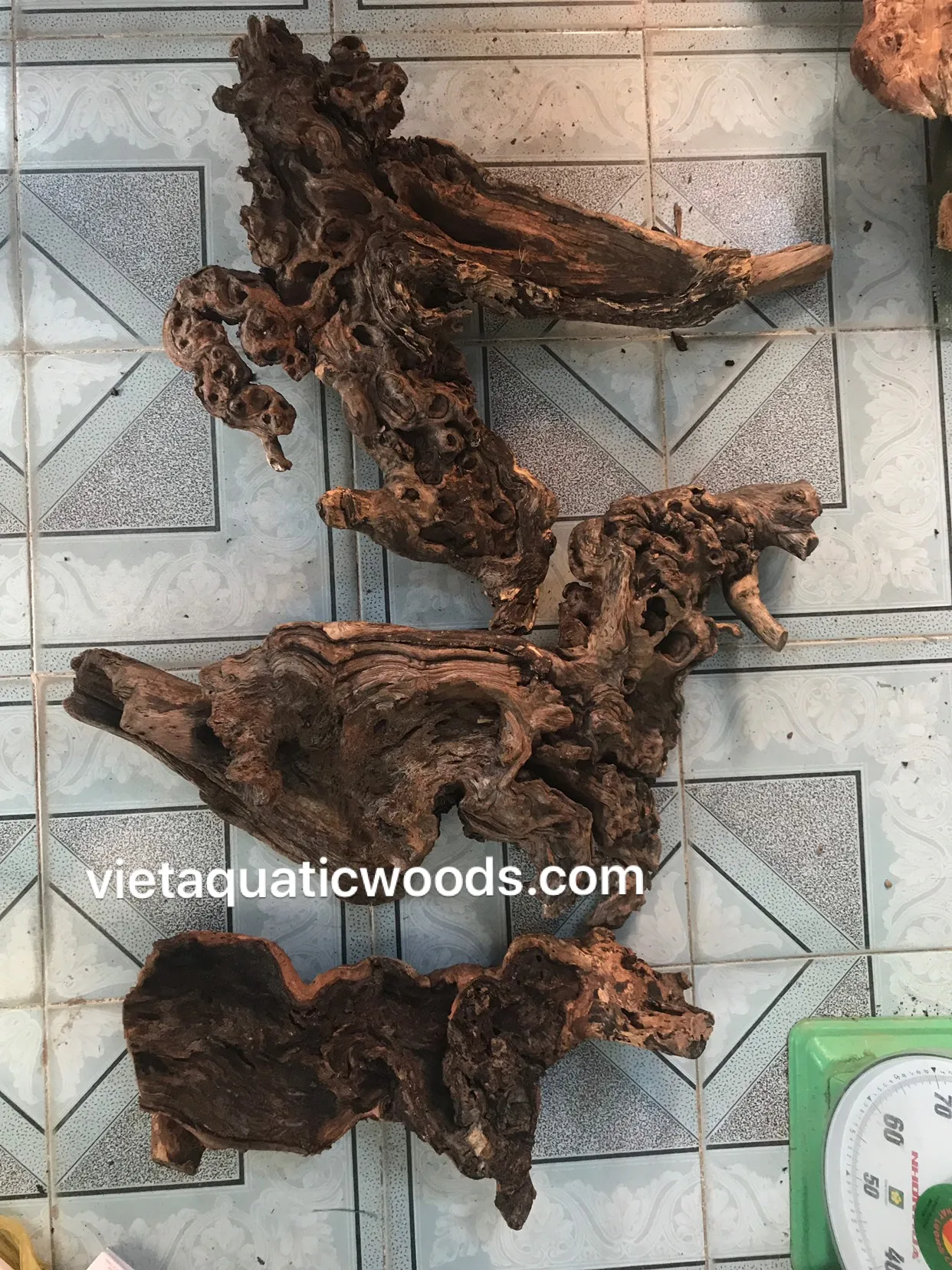 Hot arrival  Natural driftwood for aquarium ornament Whatsapp +84 963949178