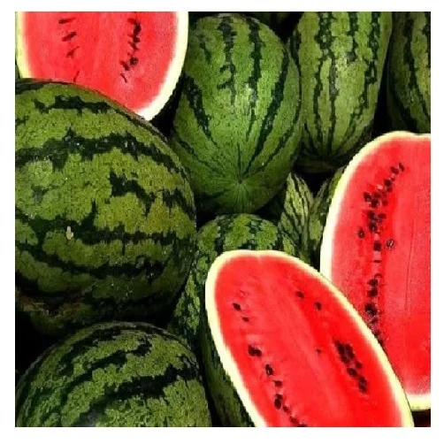 Свежий Фруктовый арбуз // напиток для фруктов // EDNA + 84 919 04 5050