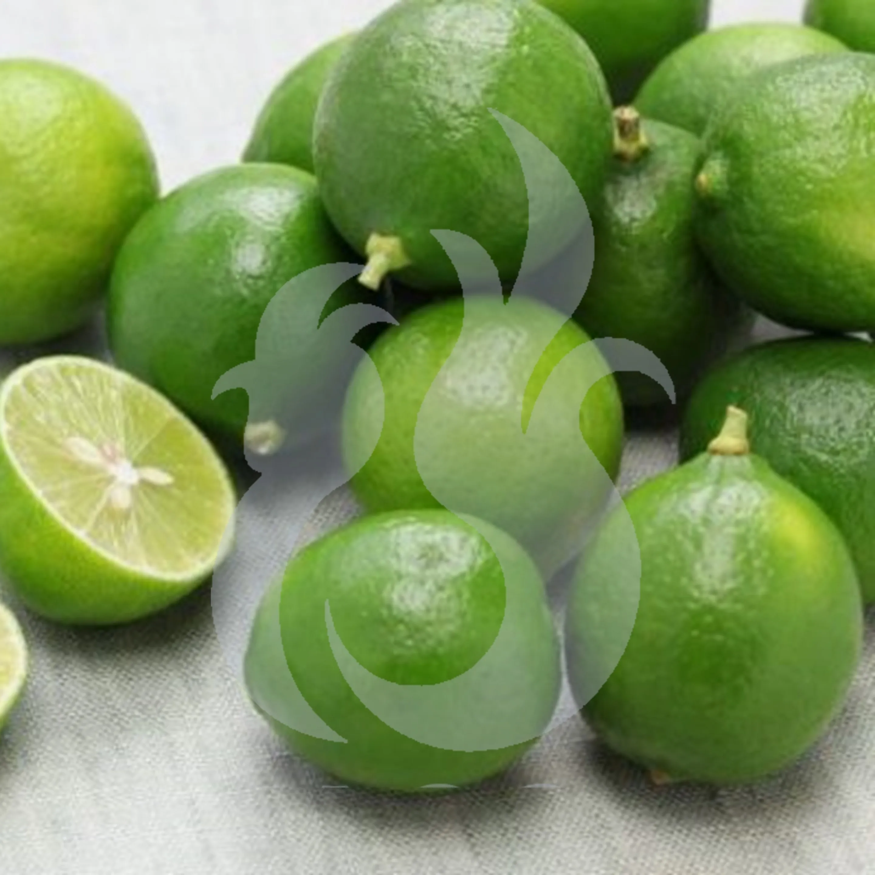 
Fresh Lime Fruits From Indonesia With Best Quality 