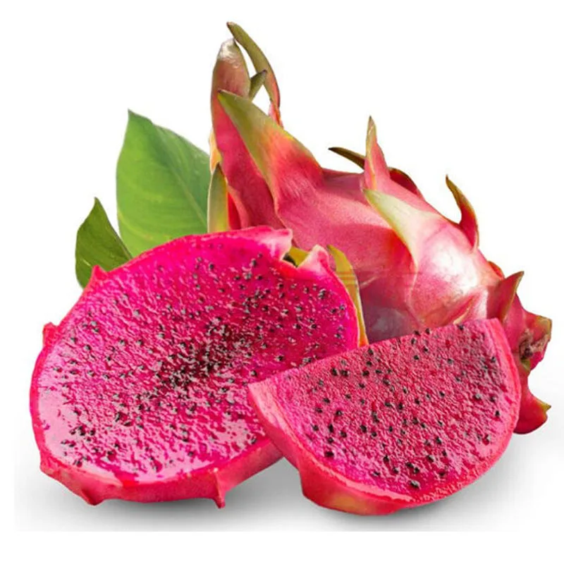 
Fresh dragon fruits supplier package carton 9kg red flesh big size 14-16 pieces per box origin from Vietnam 