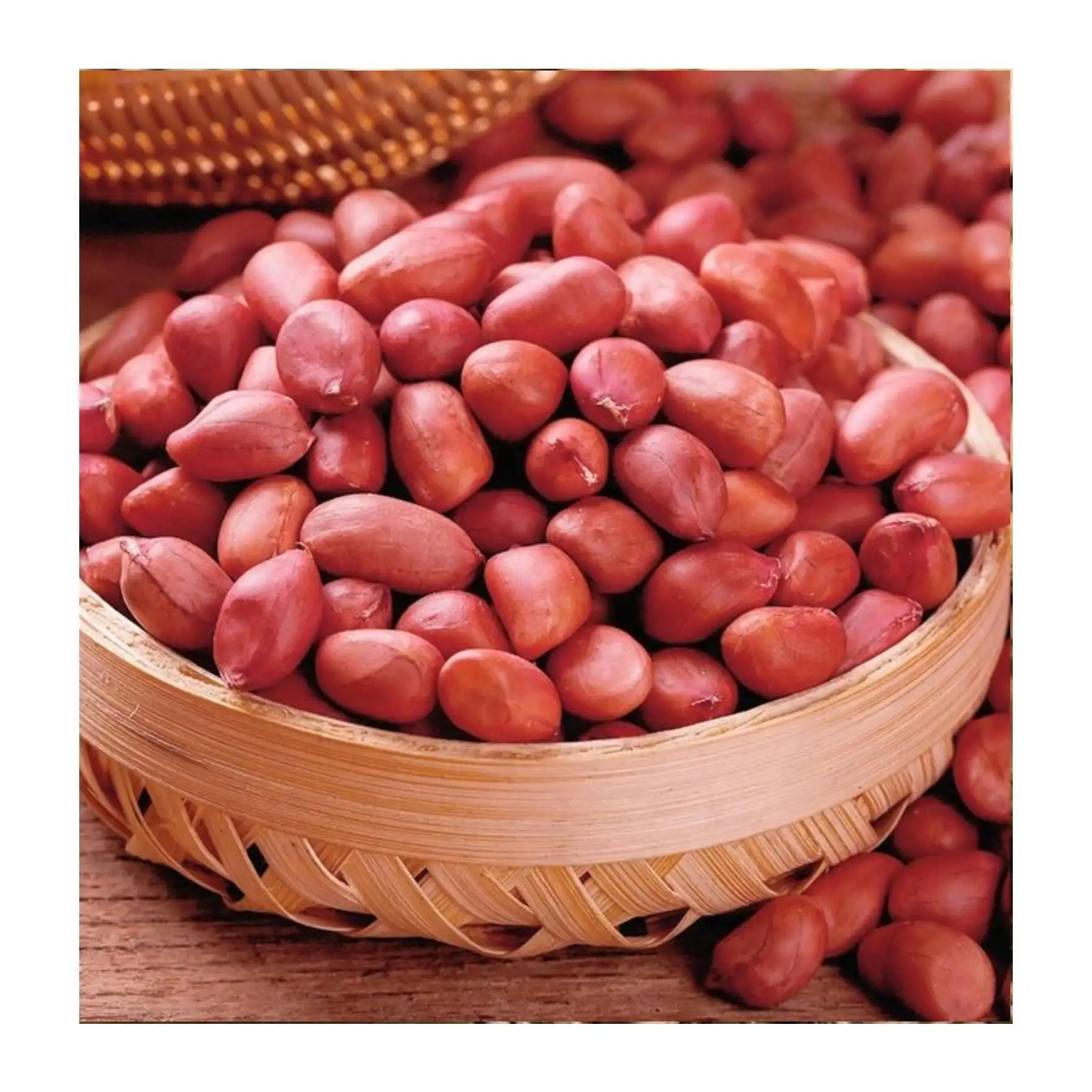 Great quality high protein raw peanut kernels peanut seeds price from Uzbekistan manufacturer wholesale for export