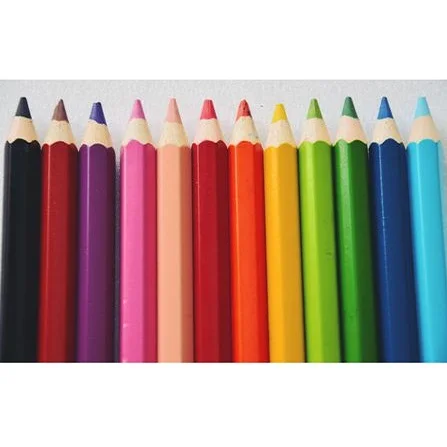 Best Quality Drawing Color Pencil For Children