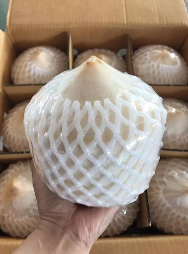 
EWC Wholesale 100% Natural Sweetness Taste Young Coconut Green Color 15cm Fresh Coconut 