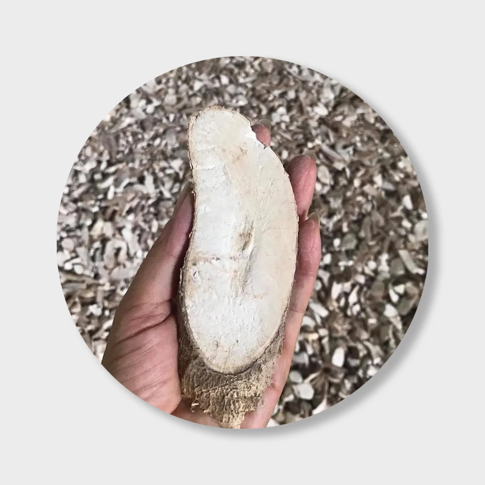 Dried Cassava Chips Tapioca From Thailand