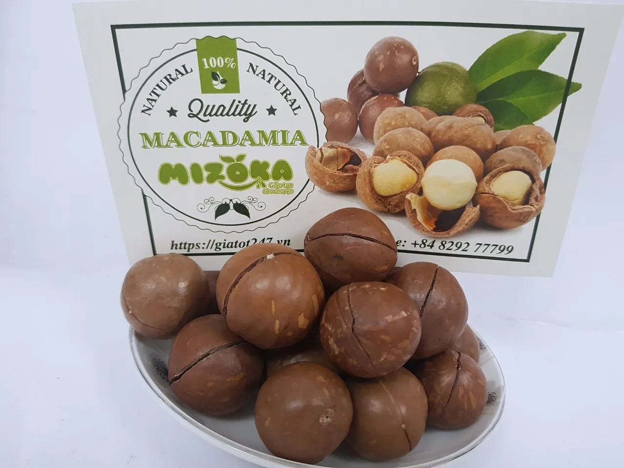 
macadamia nuts best seller macadamia nuts best quality from Vietnam 