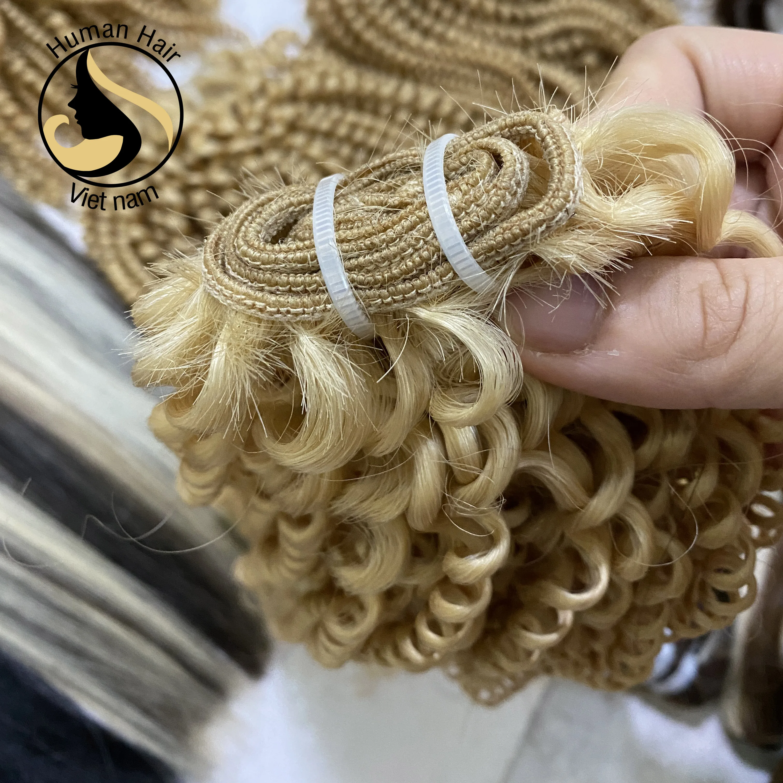 Double Drawn 100% Human Hair Vietnamese Kinky Curly Bundles Wave European/Russian 613 Blonde Hair