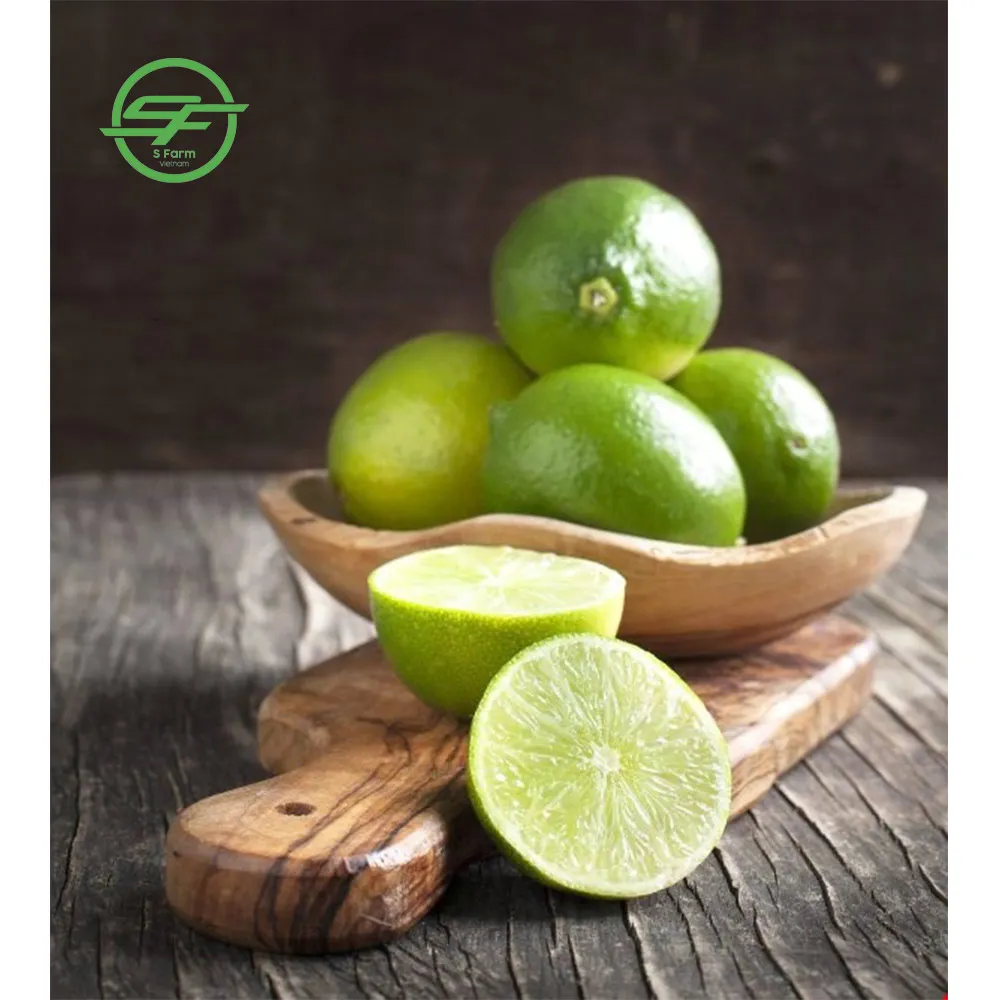 Vietnam Fresh Seedless Lemon (Whatsapp/zalo/wechat: +84 912 964 858)