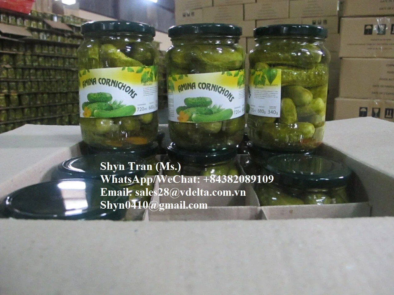 Pickled Baby Cucumber // Gherkins, Cornichon //Shyn Tran +84382089109