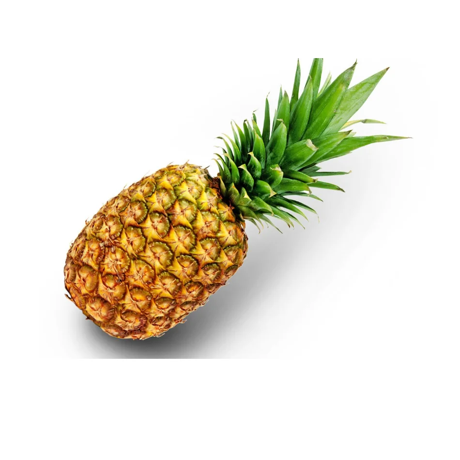 100% Pure Natural Agriculture fresh pineapple in Fresh Pineapple Wholesale Price Fresh Export From Bangladesh