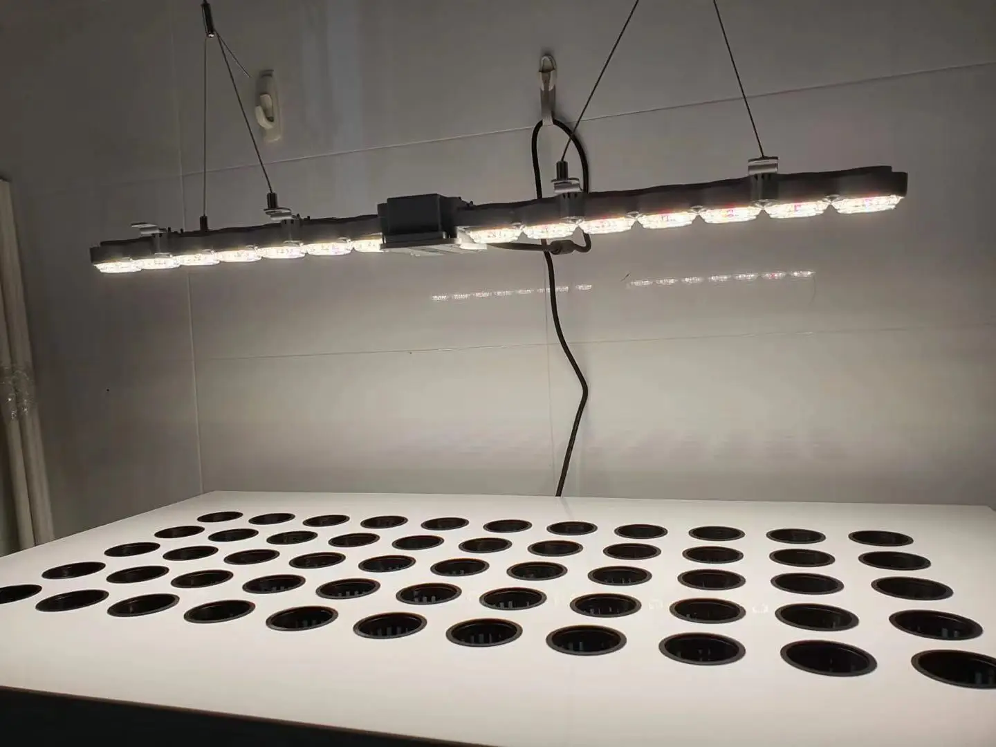 Smart Farming  50W to 200w  Full Spectrum Garden Grow Lamp For Hydroponics Plants