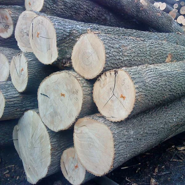 
Birch / Black Walnut / Red Oak Logs 30+ cm 