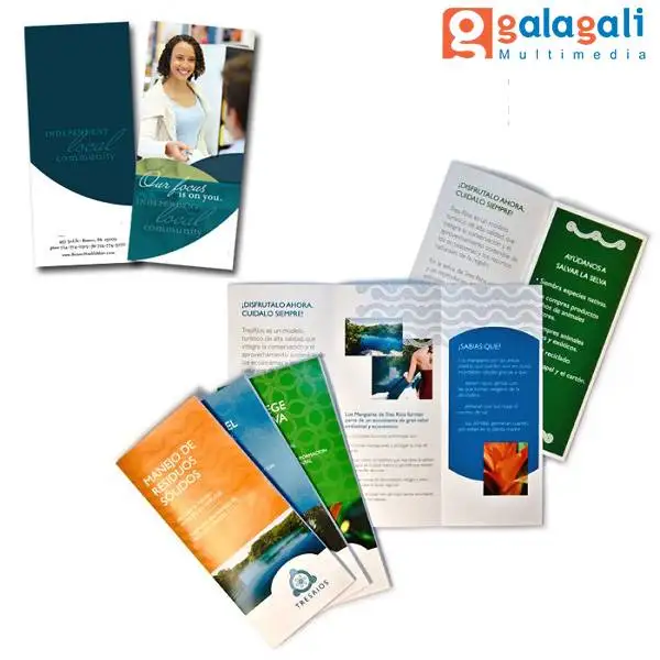 Tri Fold Brochure Design and Professional Business Brochure Design - Graphic Design Service