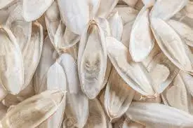 DRIED CUTTLEFISH BONE // EXPORTING CUTTLEFISH BONE FOR BIRDS - IVY +84 977157110