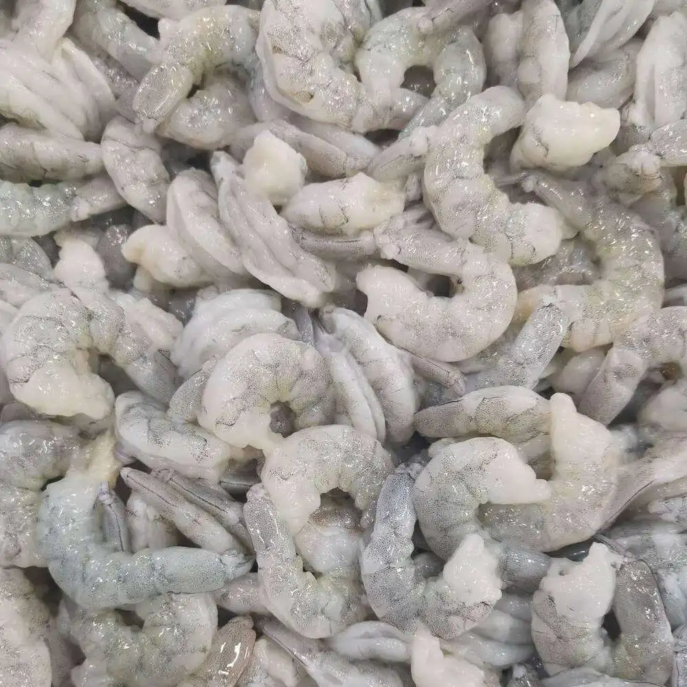 Fresh Frozen Shrimps