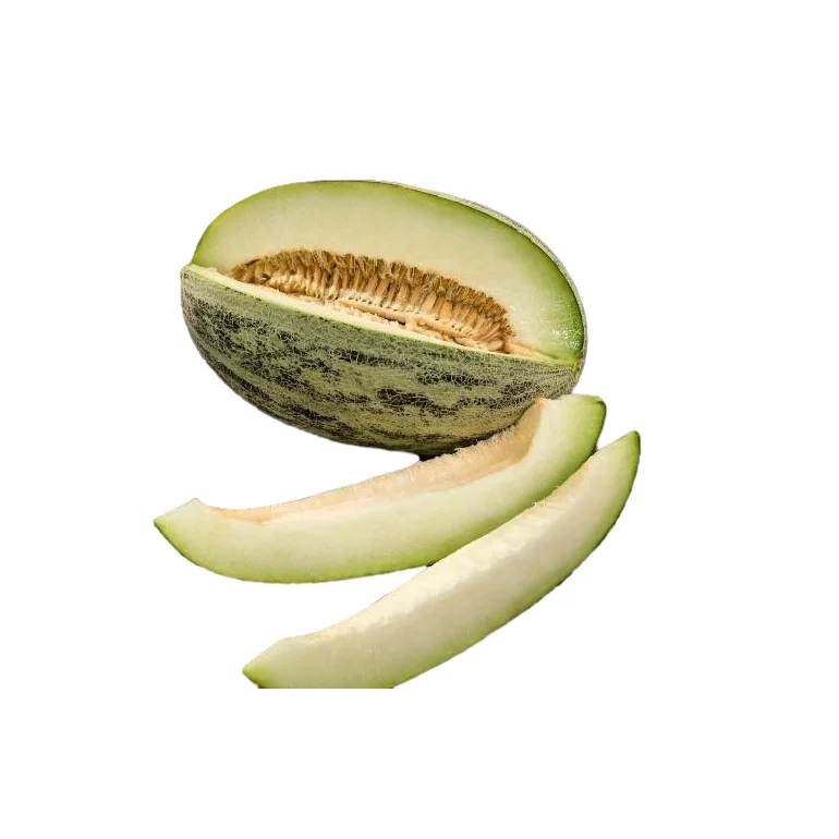 High quality fresh jura kand melon for sale