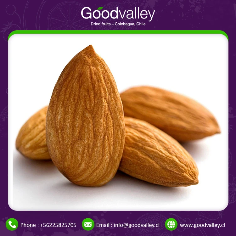 Top Grade Almond Nuts Raw Nutrition Organic Almond Nuts for Healthy Fats