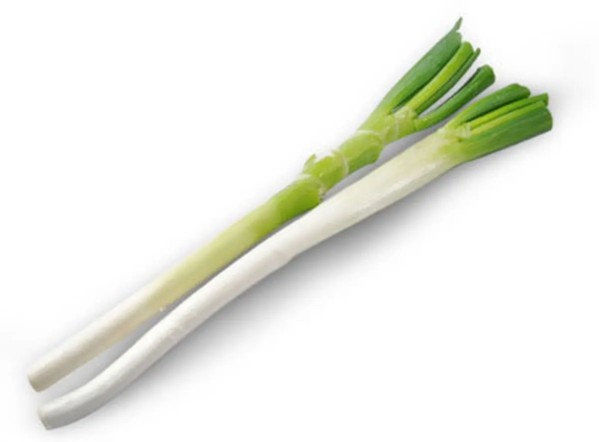 Обычные свежие овощи, пружинный лук