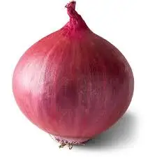 High Quality Export Fresh White Onion Price Onions Fresh