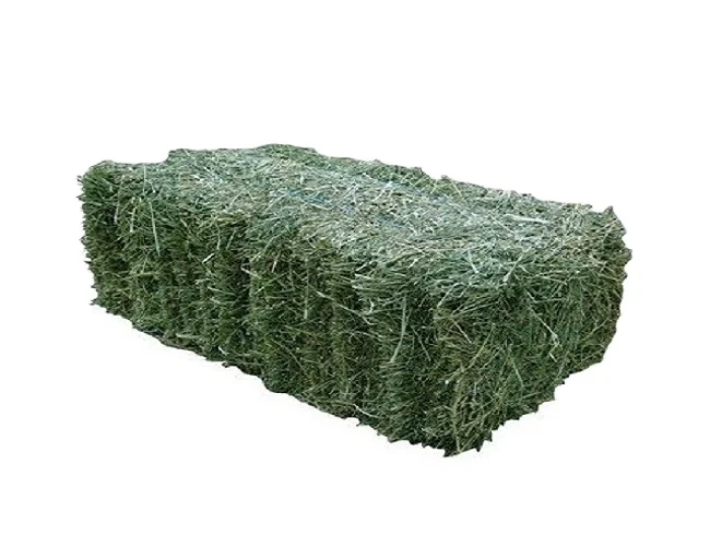 Alfafa Hay Animal Feeding Stuff Alfalfa hay/alfalfa hay pellets Timothy Hay/ in Bales Best Super Top