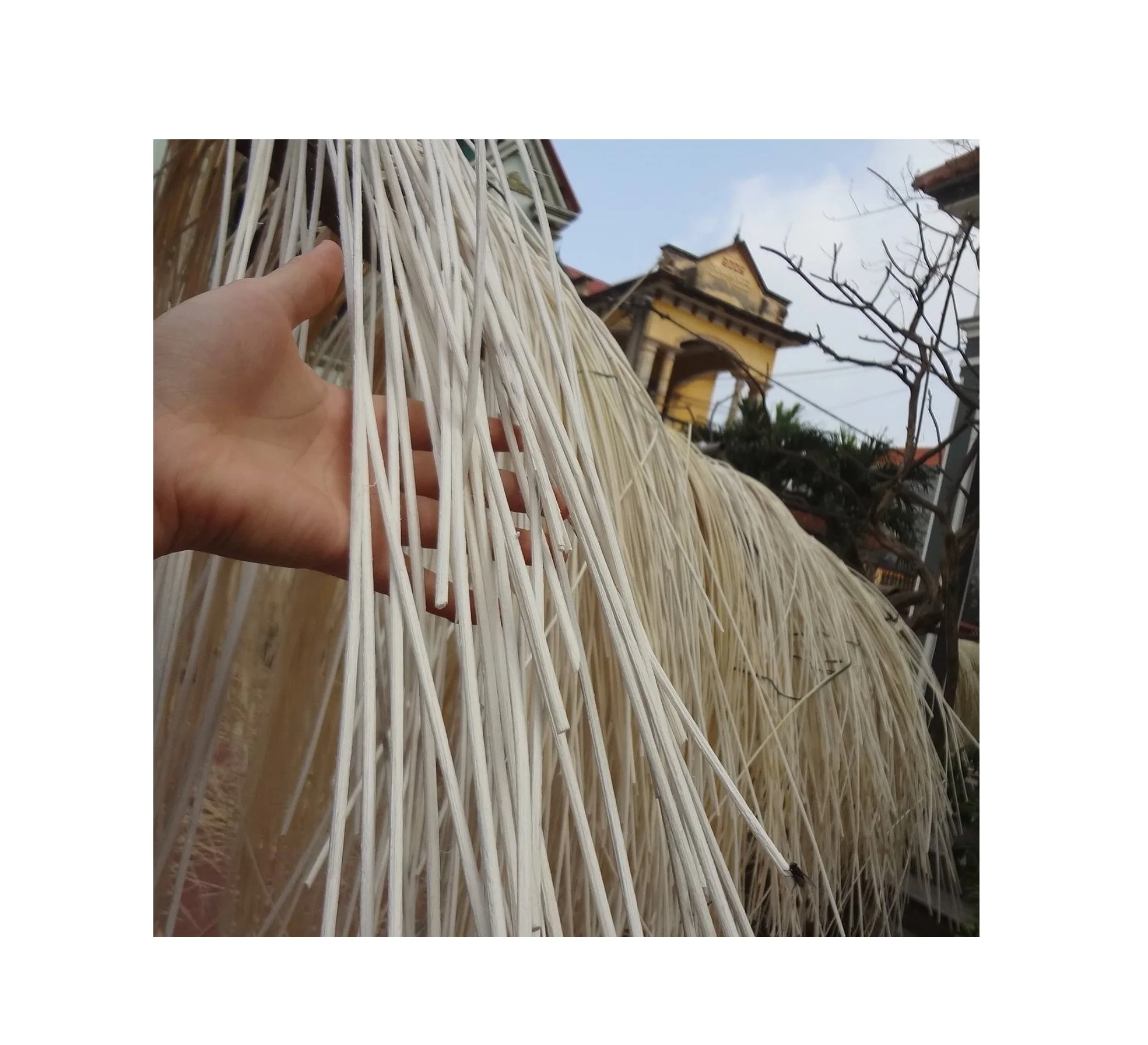 Best Selling Rattan Core Flat From Viet Nam With Fast Delivery 100% Natural Rattan Durable +84947900124