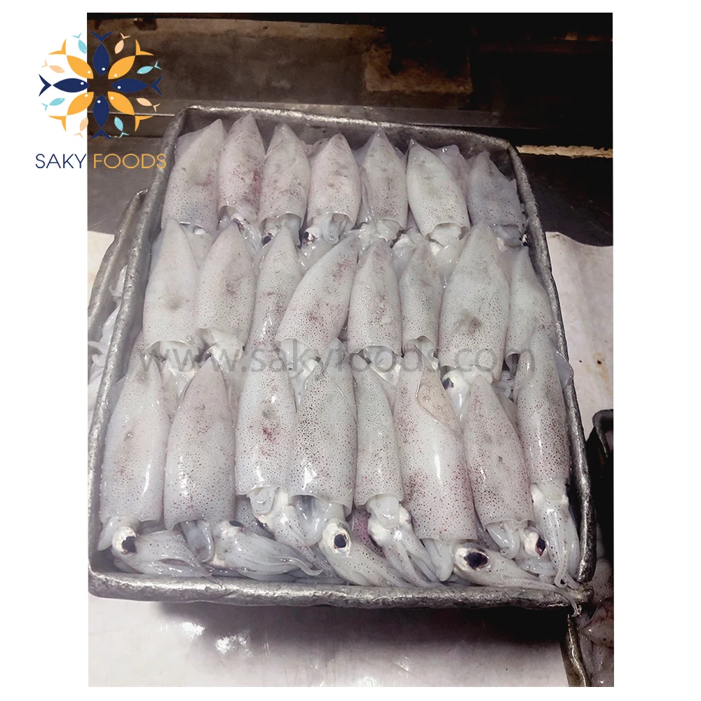 New arrival Seafood Good Price Wholesale Frozen Whole Squid