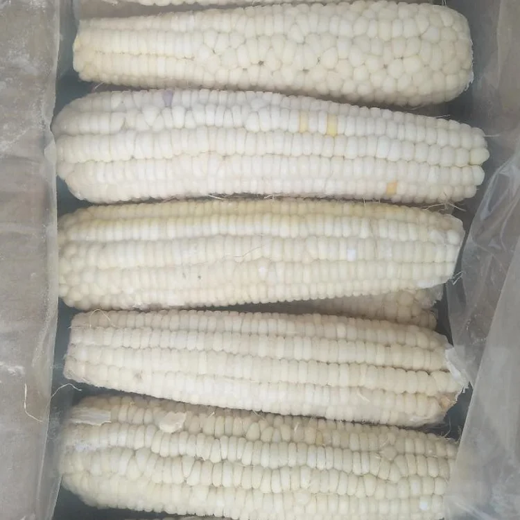 Белая кукуруза/кукуруза по низкой цене