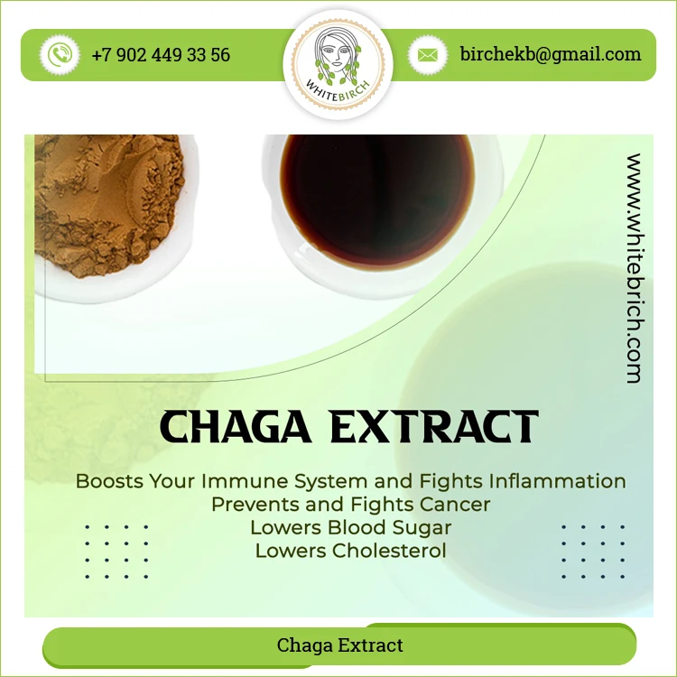 Direct Factory Sale High Quality Herbal Chaga Mushrooms Extract Powder at Low Market Price