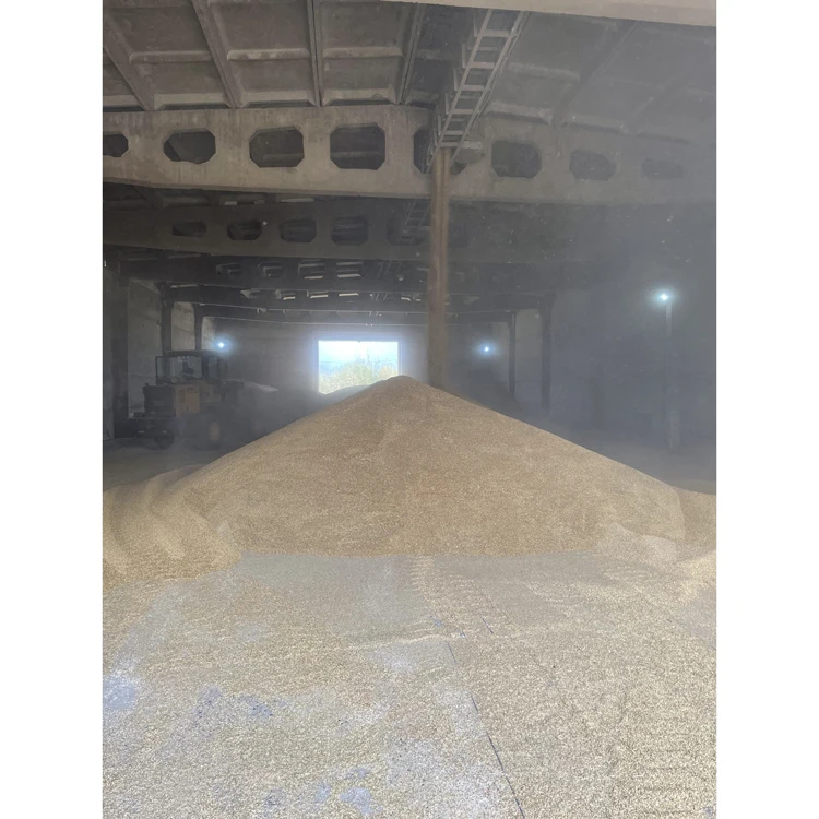 Bulk in container whole barley organic from russian manufacturer, animal feed barley bulk