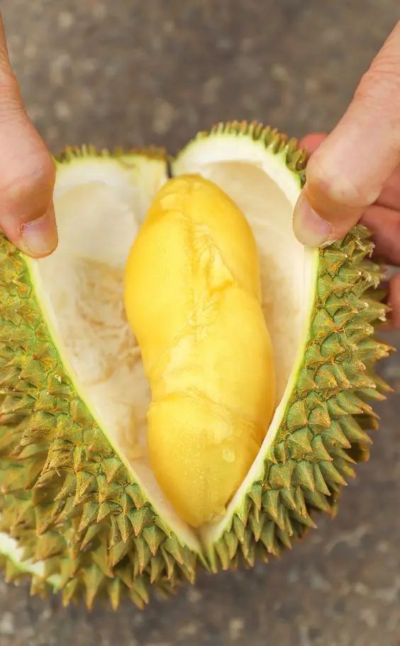 Дурианские фрукты-Замороженные дуриан-монстринги дуриан цена
