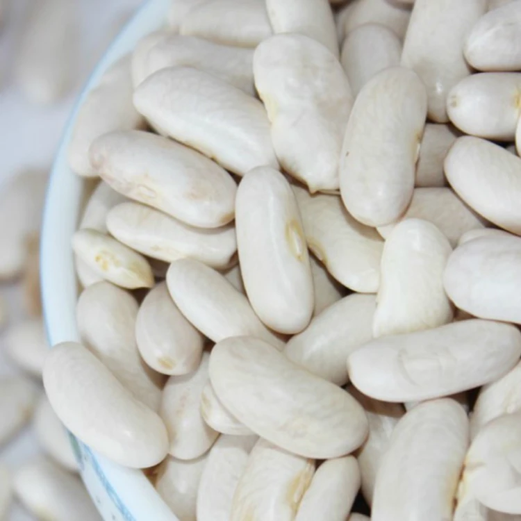 
Canned baked white beans Chinese Origin High Quality chinese kidney beans 