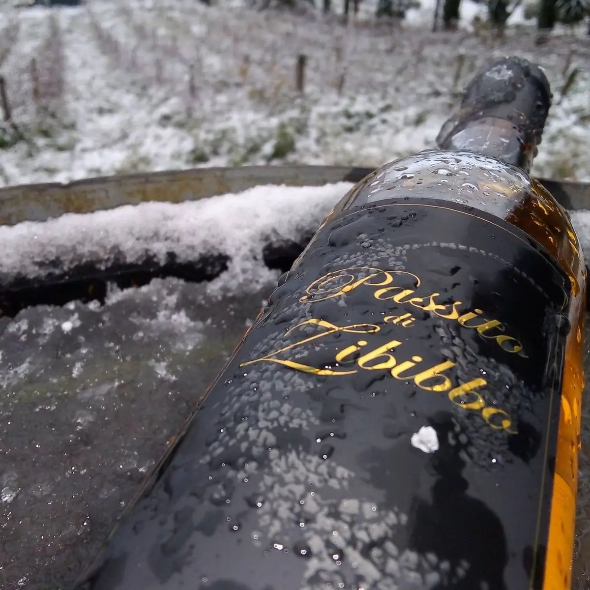 Top Sweet FERRERI Wine for Table Restaurants Wine shops Grapes of Zibibbo 750 ml Aged 4 months in french oack