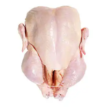 Premium Supplier Halal Frozen Whole Chicken, Processed Meat at Wholesale Price, Custom Offer Available