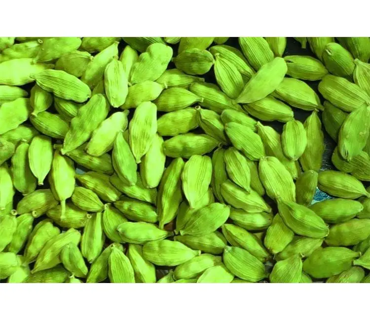 Свежий зеленый кардамон лучшего качества