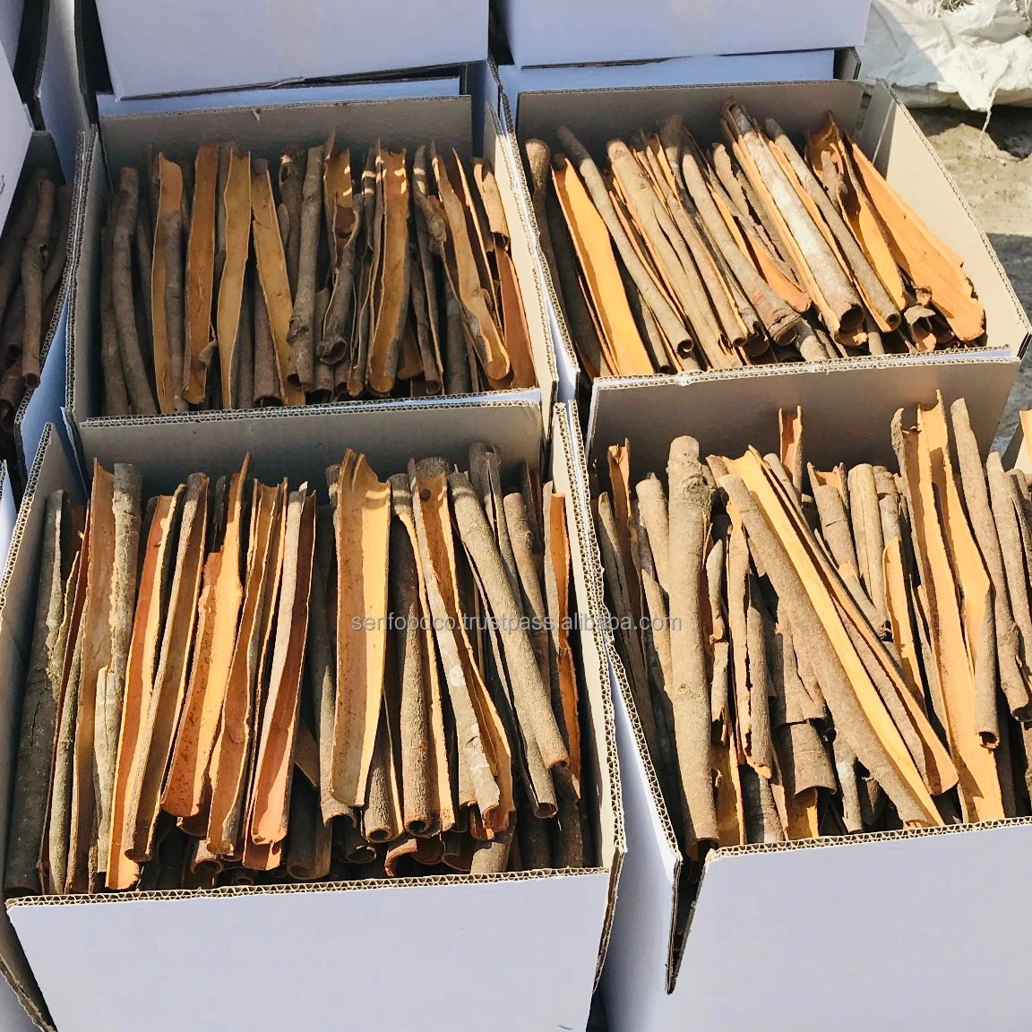 Новый Урожай натурального цвета раздельная Кассия хорошего качества из Вьетнама осень 2021