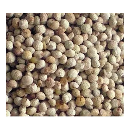 
Top Quality White Perilla Seeds Sale 