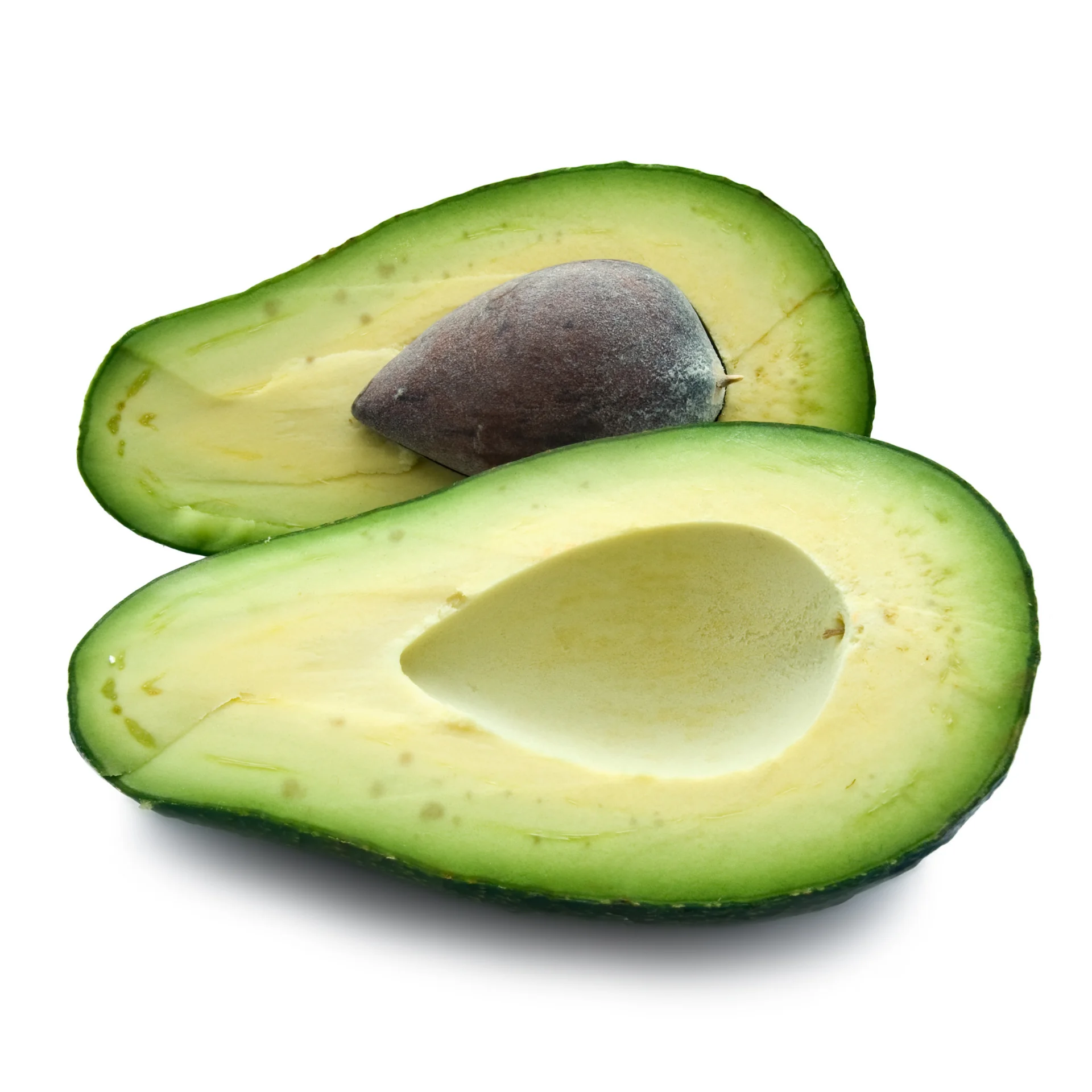 Avocado - High premium quality